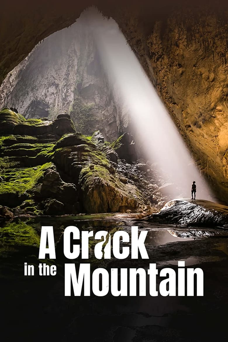 Poster of A Crack in the Mountain