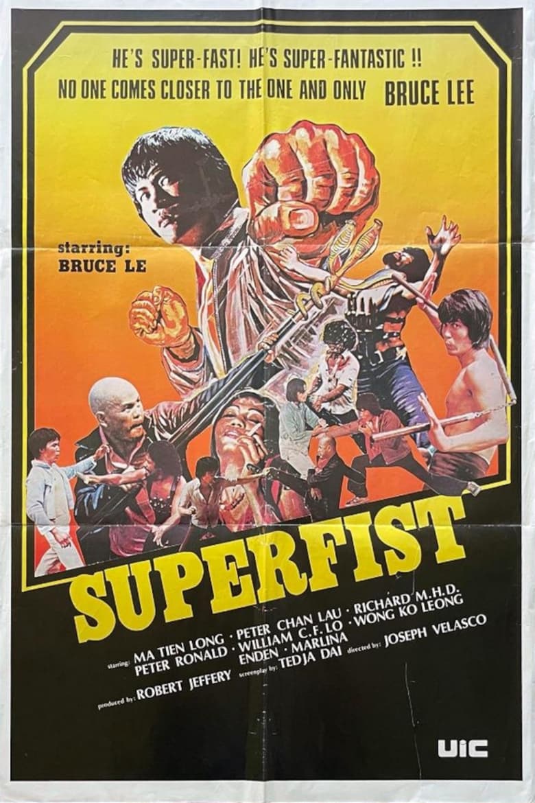 Poster of Superfist