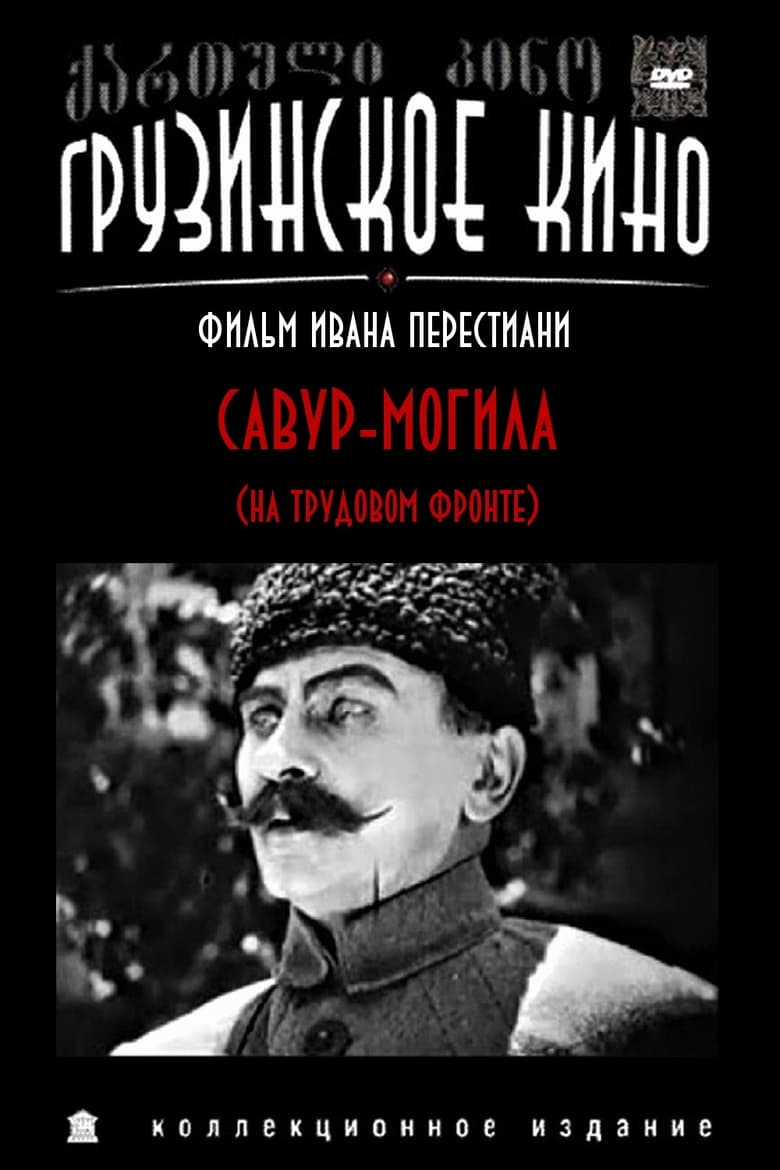 Poster of Savur-Mogila