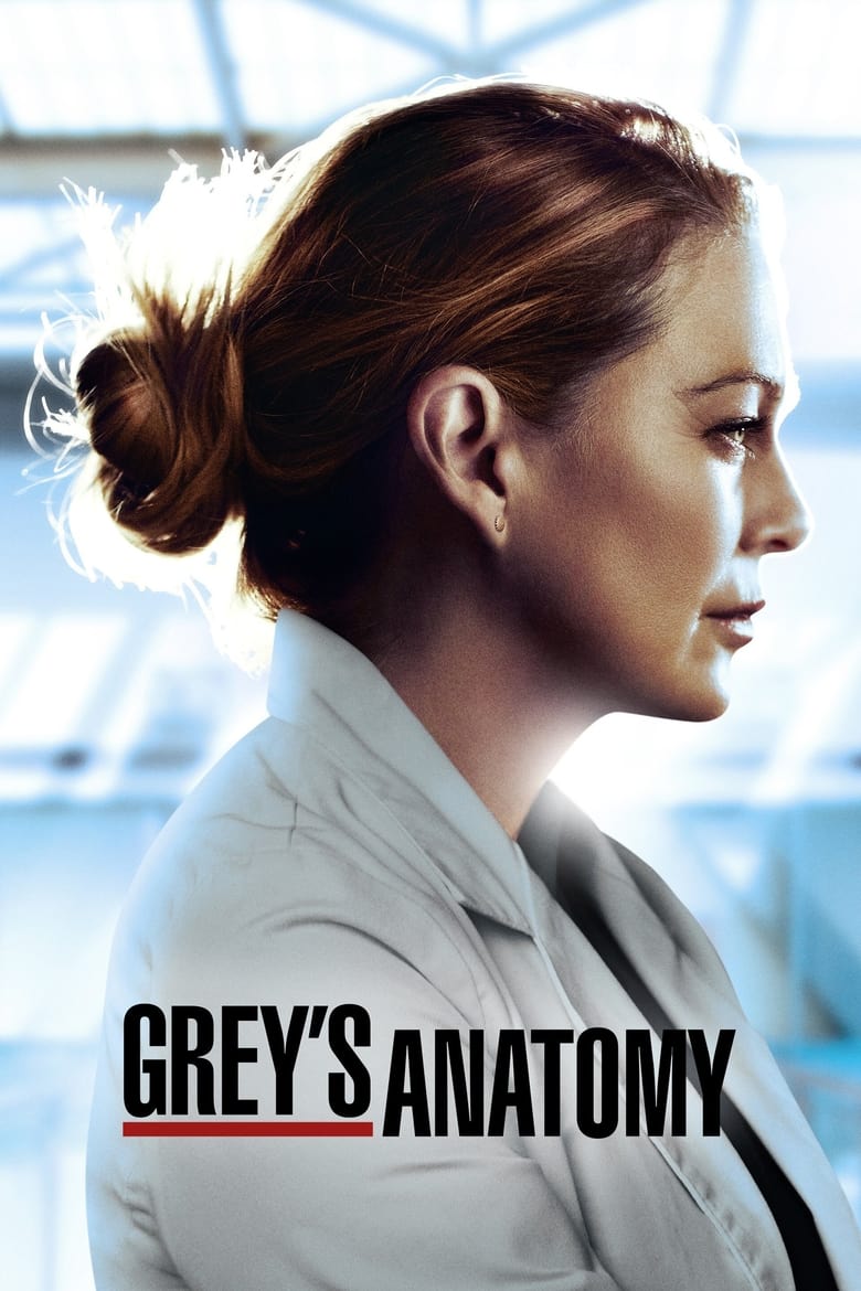 Poster of Episodes in Grey's Anatomy - Season 17 - Season 17