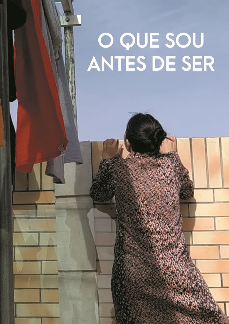 Poster of O que sou antes de ser