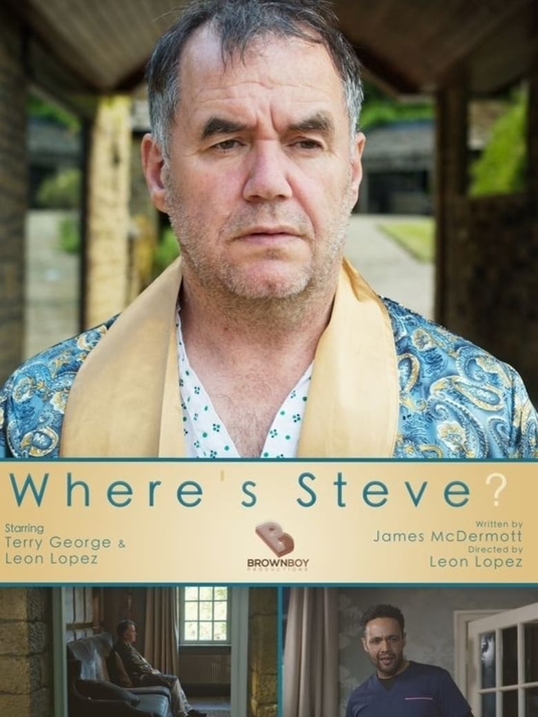 Poster of Where's Steve?