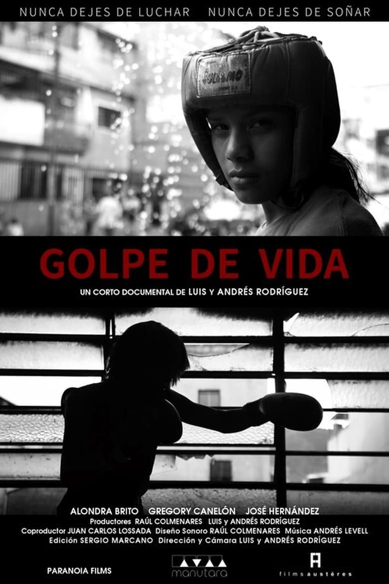 Poster of Golpes de Vida