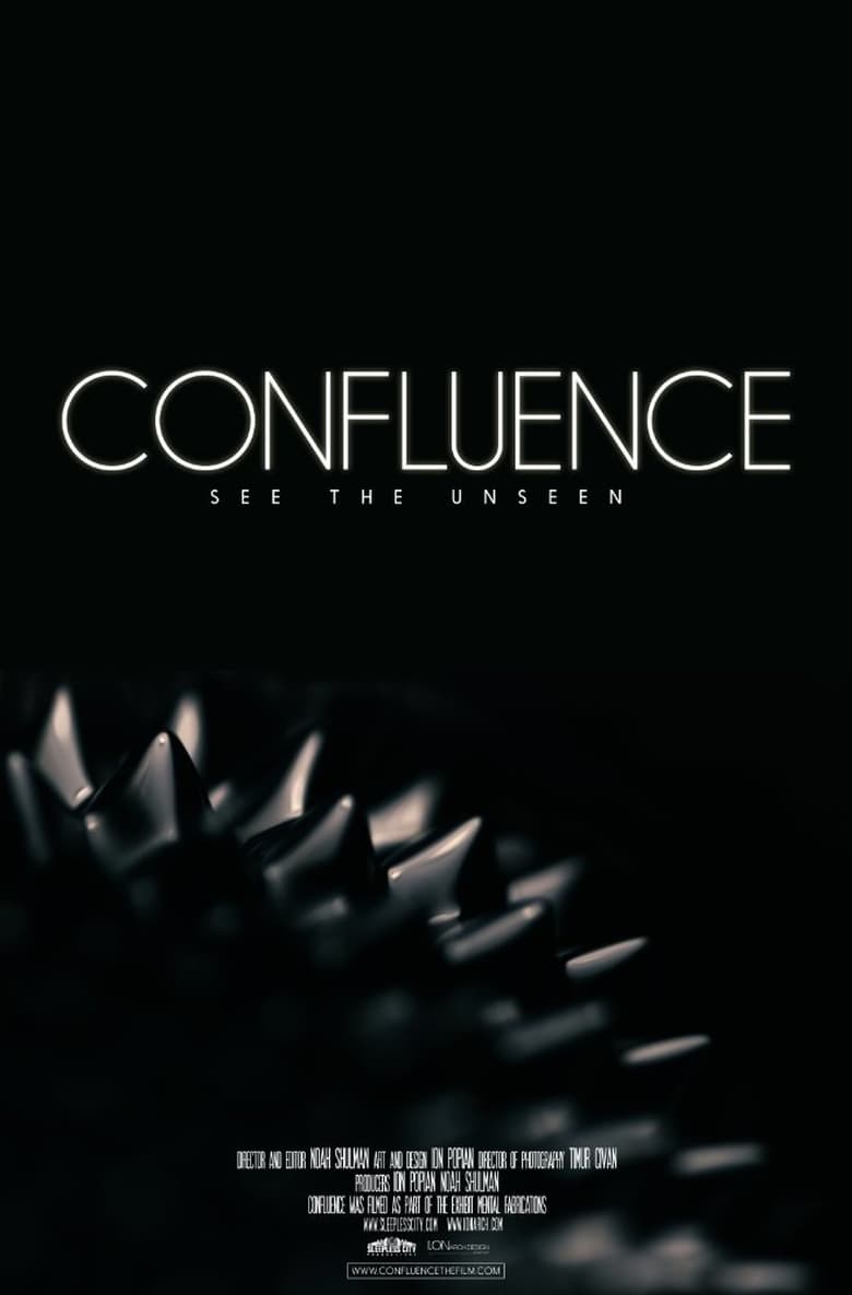 Poster of Confluence