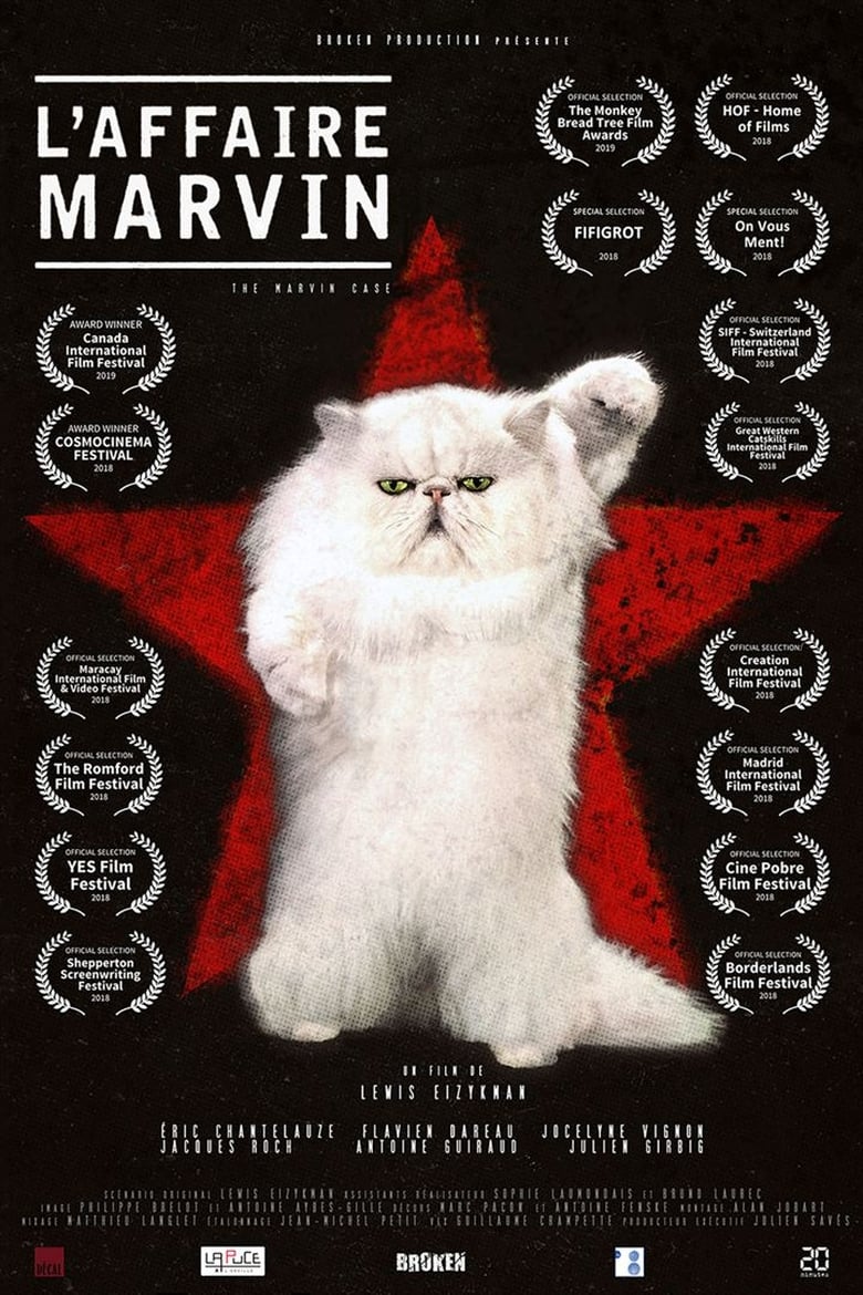 Poster of L'Affaire Marvin