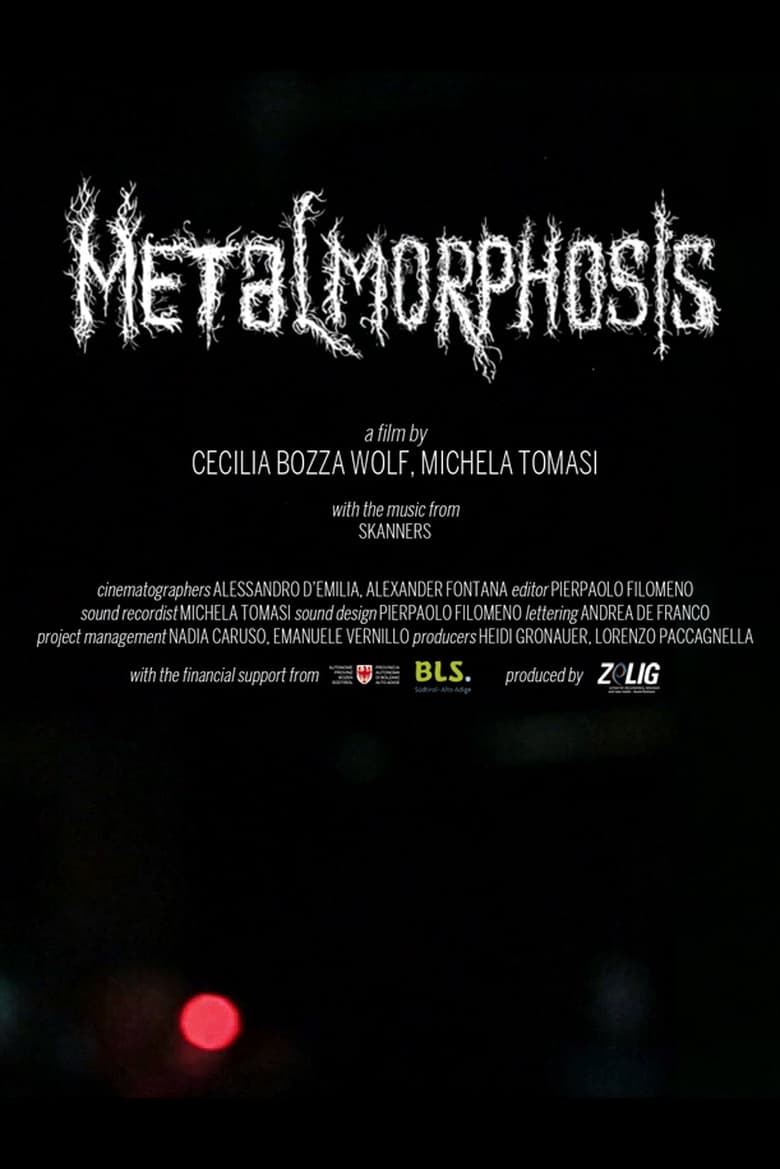 Poster of Metalmorphosis