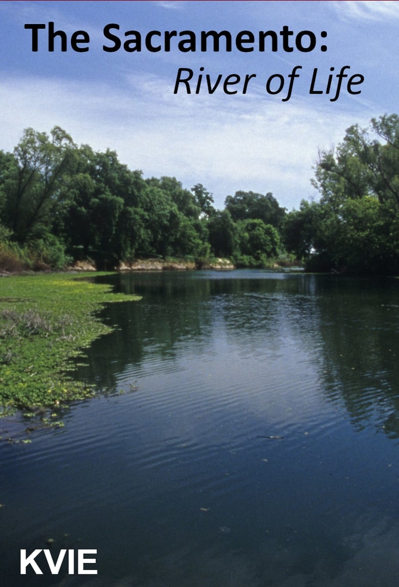 Poster of The Sacramento River of Life