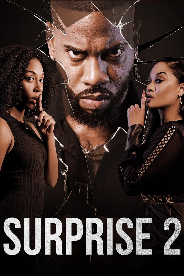 Poster of Surprise 2