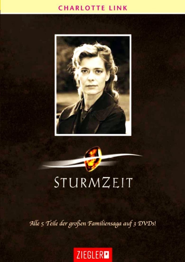 Poster of Sturmzeit