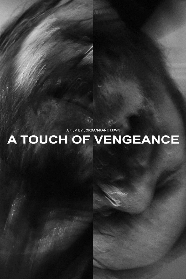 Poster of A Touch of Vengeance