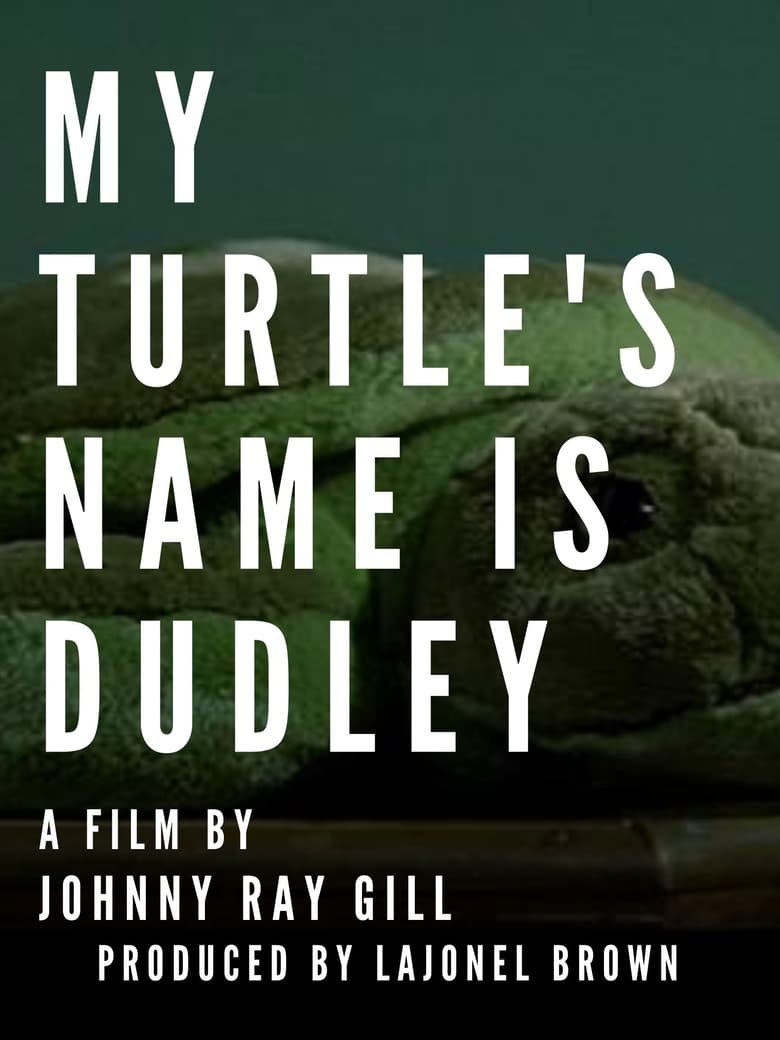 Poster of My Turtle's Name Is Dudley