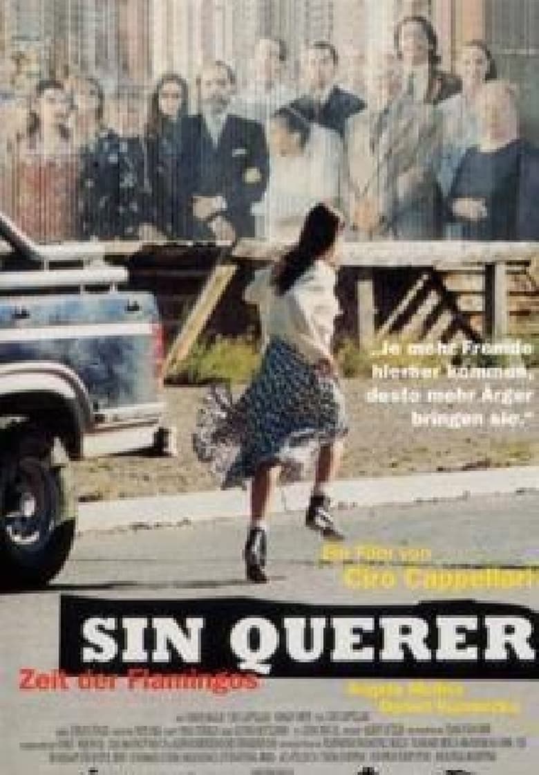 Poster of Sin querer