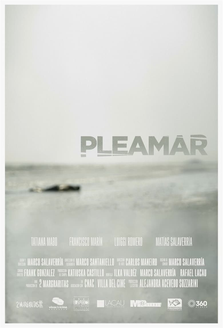 Poster of Pleamar