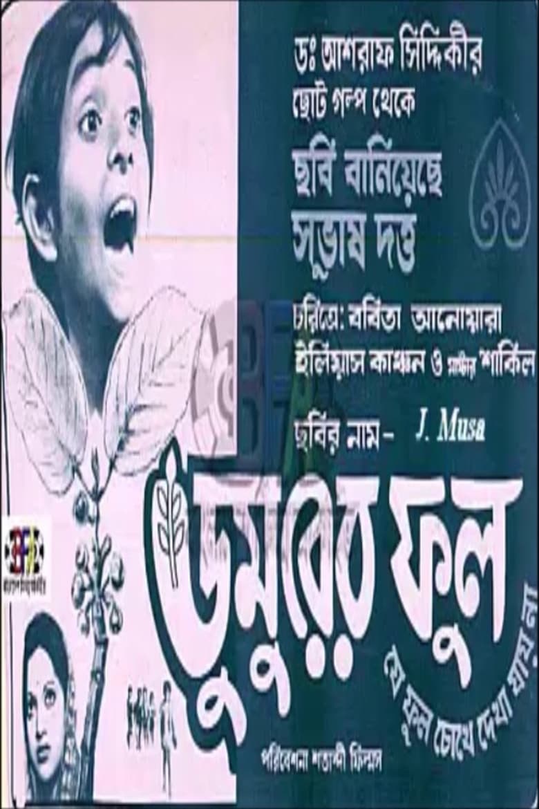 Poster of Dumurer Phul