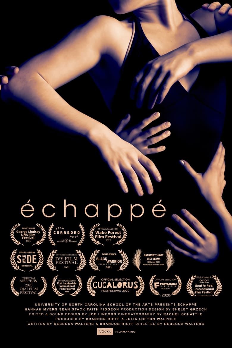 Poster of échappé