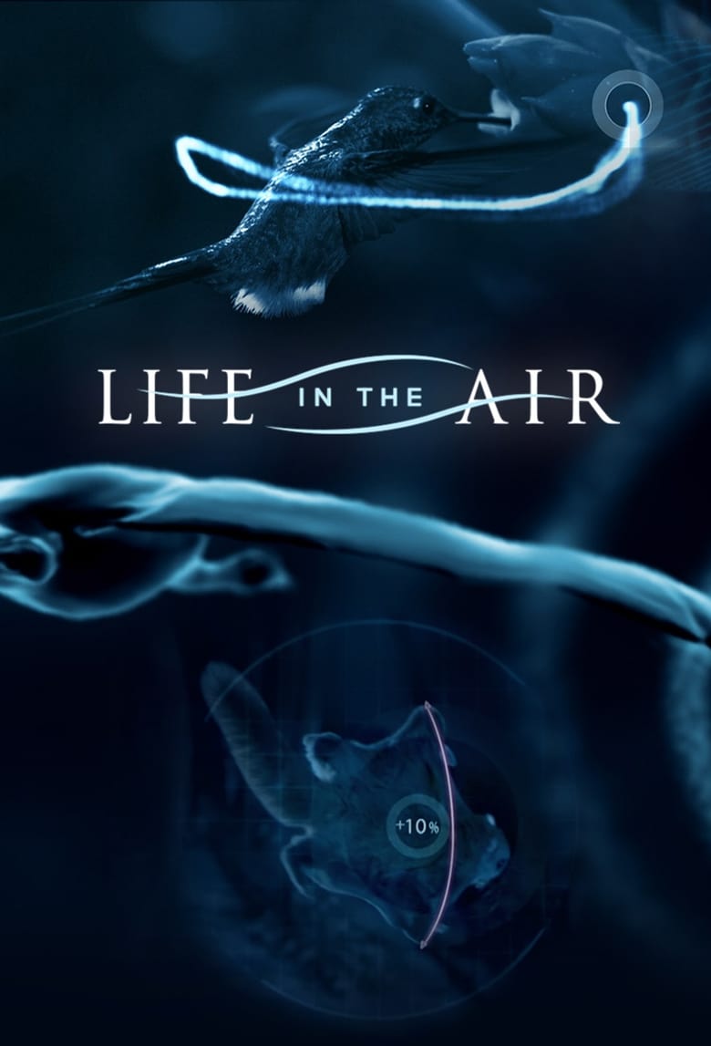 Poster of Life in the Air