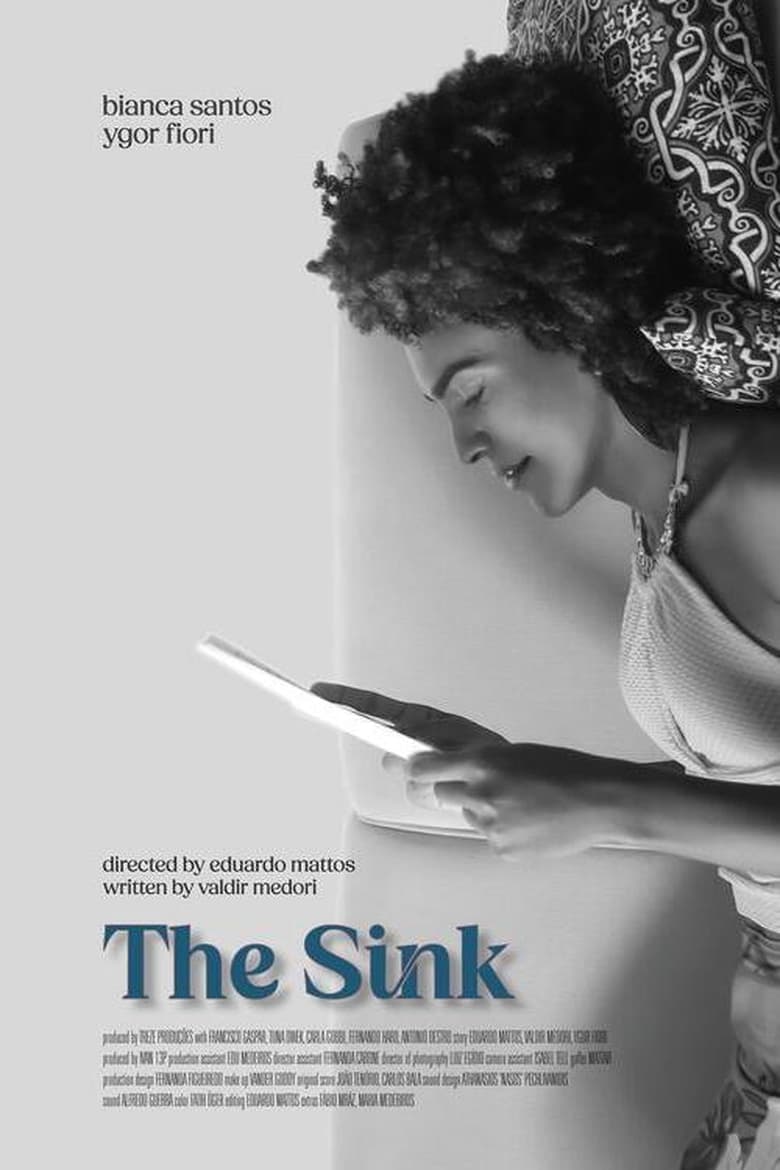 Poster of The Sink