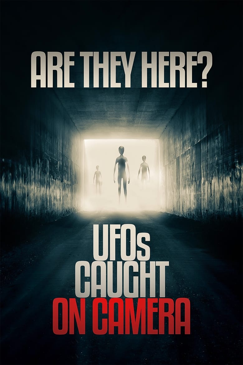 Poster of Are they Here? UFOs Caught on Camera