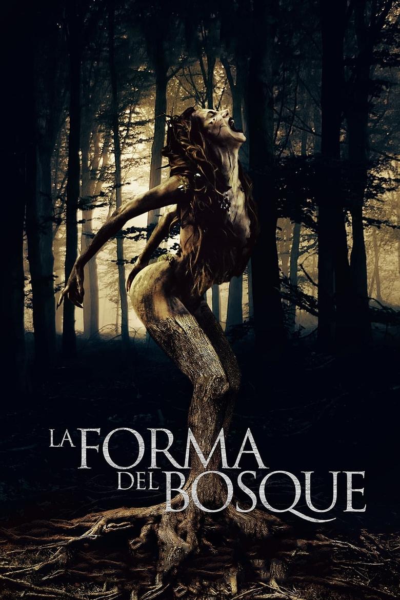 Poster of The Shape of the Woods