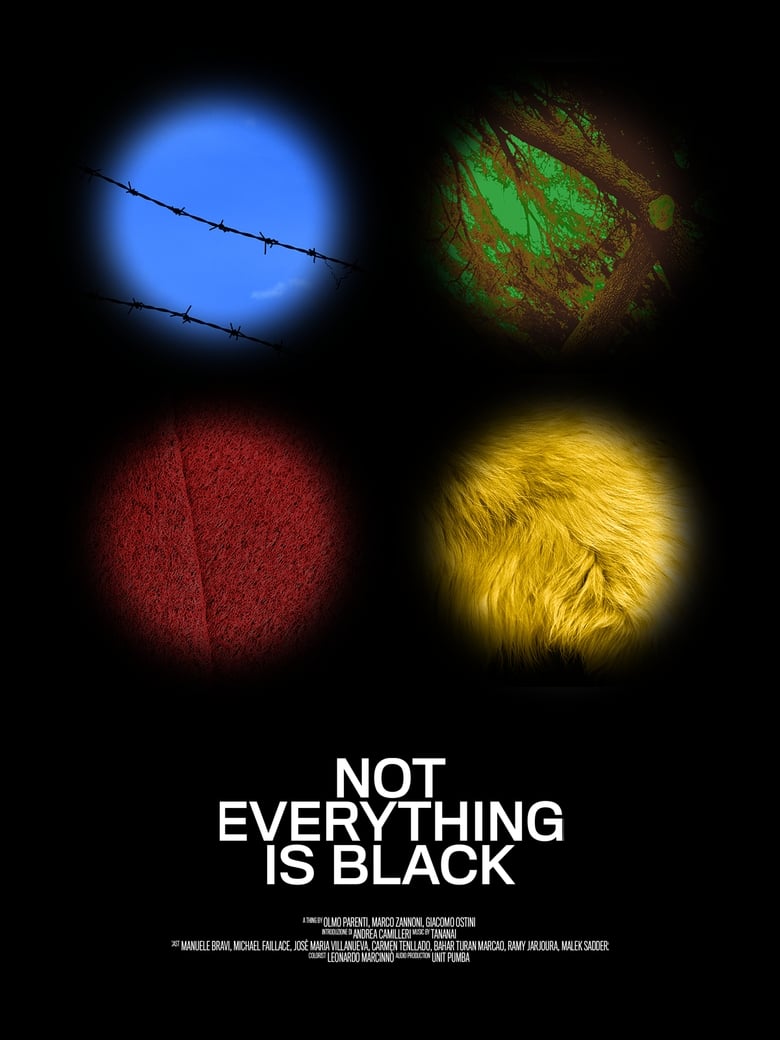 Poster of Not Everything Is Black