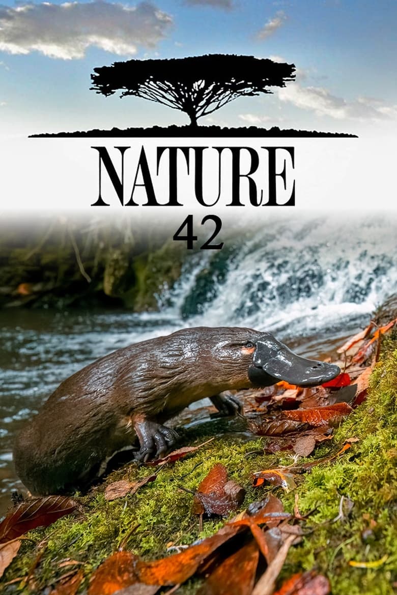 Poster of Cast and Crew in Nature - Season 42 - Episode 3 - Spy in the Ocean: Deep Feelings