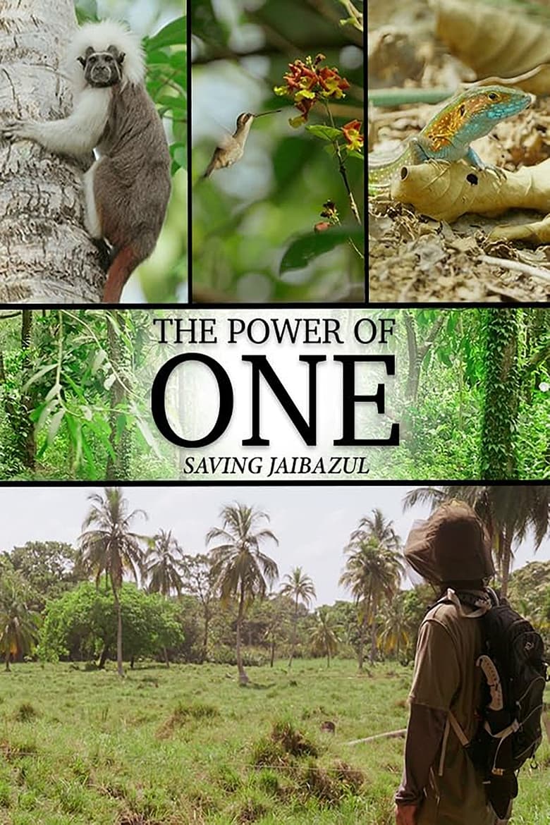 Poster of The Power of One