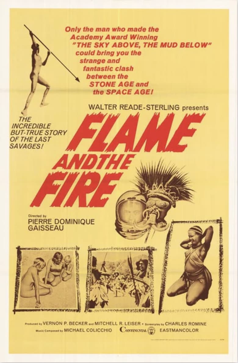 Poster of Flame and the Fire