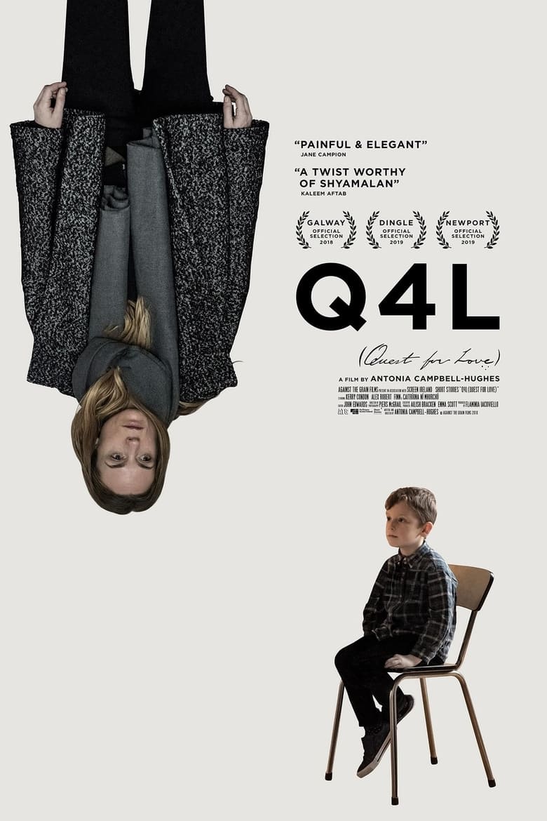 Poster of Q4L