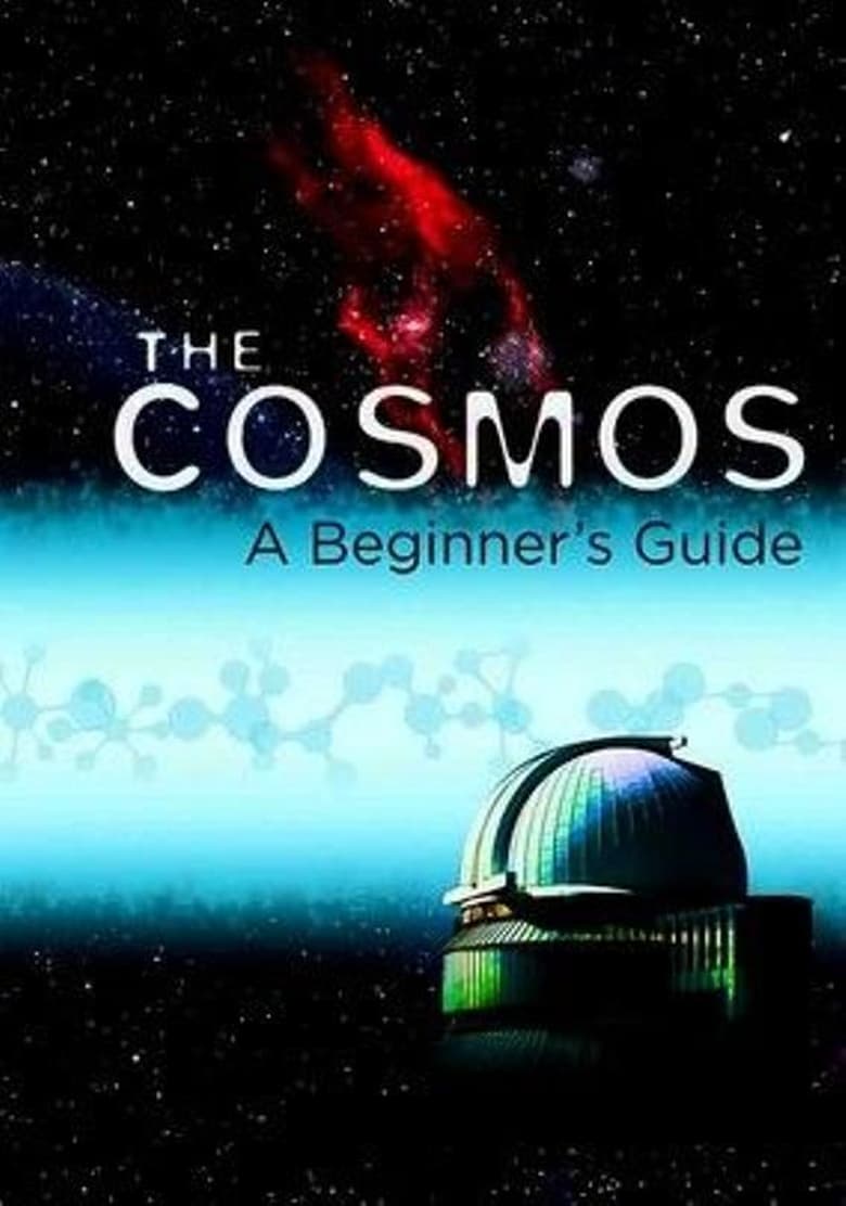 Poster of The Cosmos: A Beginner's Guide