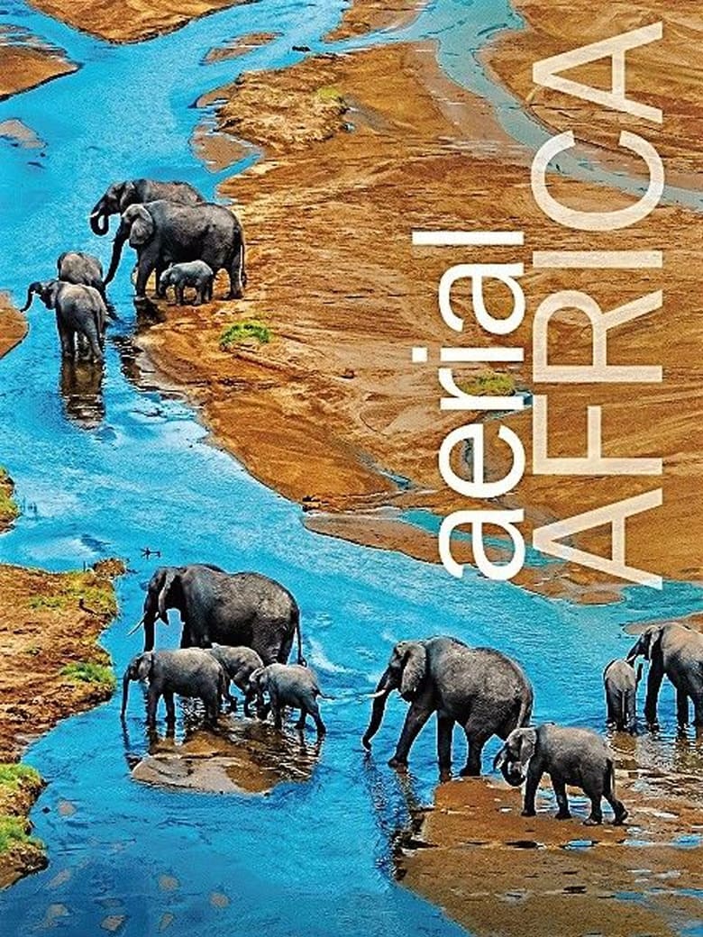 Poster of Aerial Africa