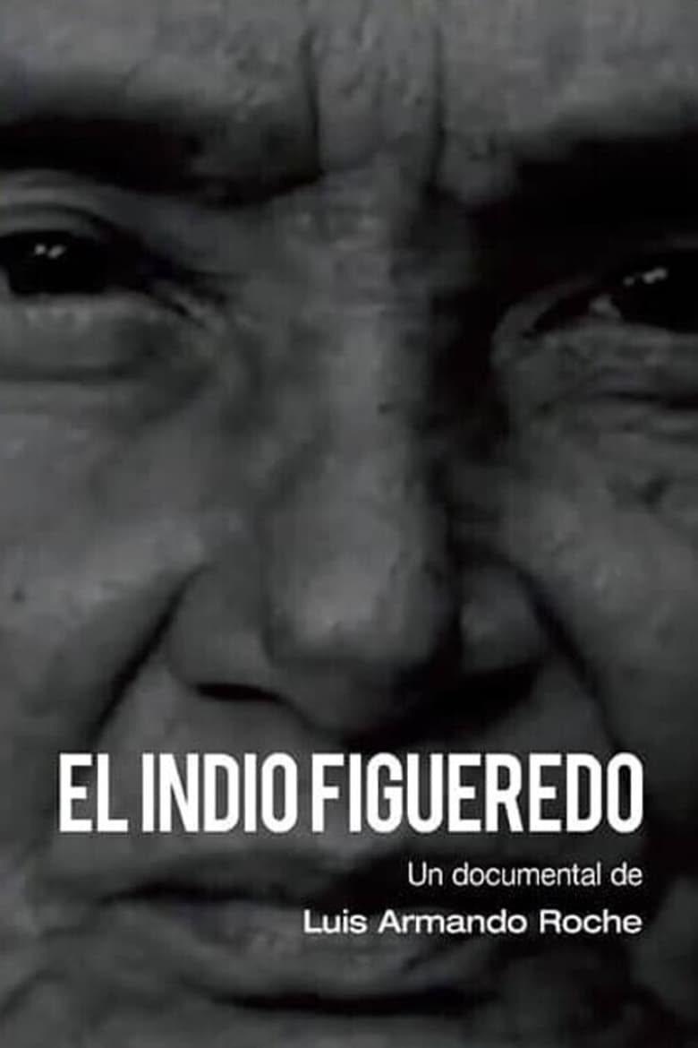 Poster of El indio figueredo