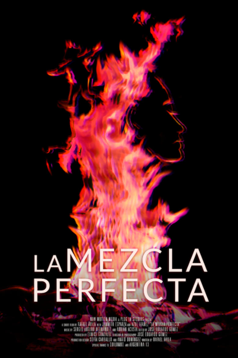 Poster of La mezcla perfecta