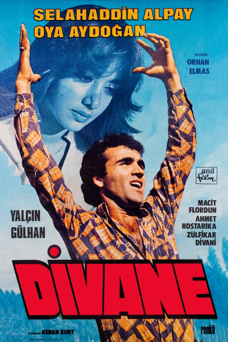 Poster of Divane