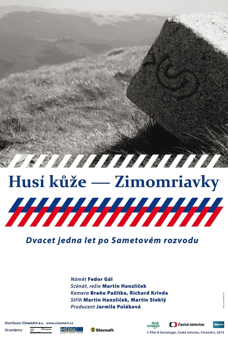 Poster of Husí kůže – Zimomriavky