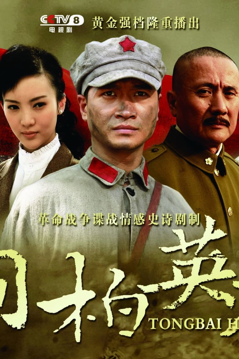 Poster of 桐柏英雄