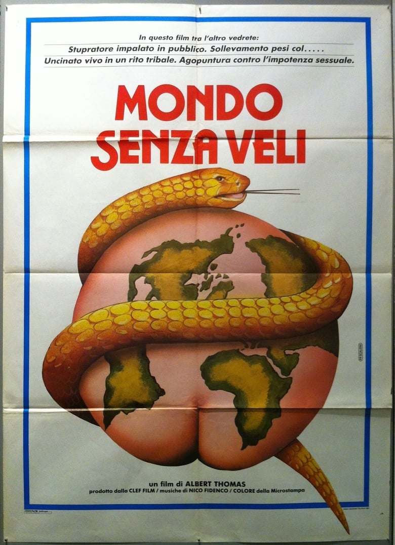 Poster of World Without Veils