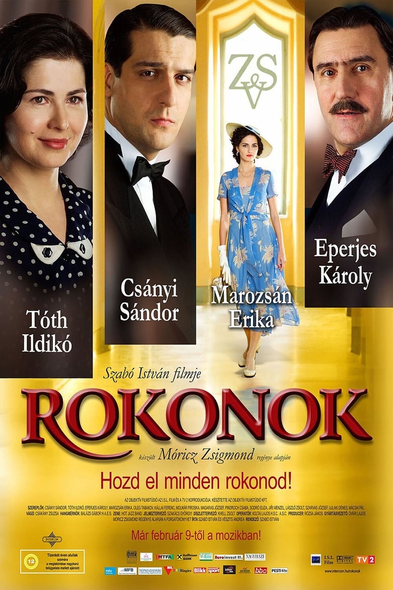 Poster of Rokonok