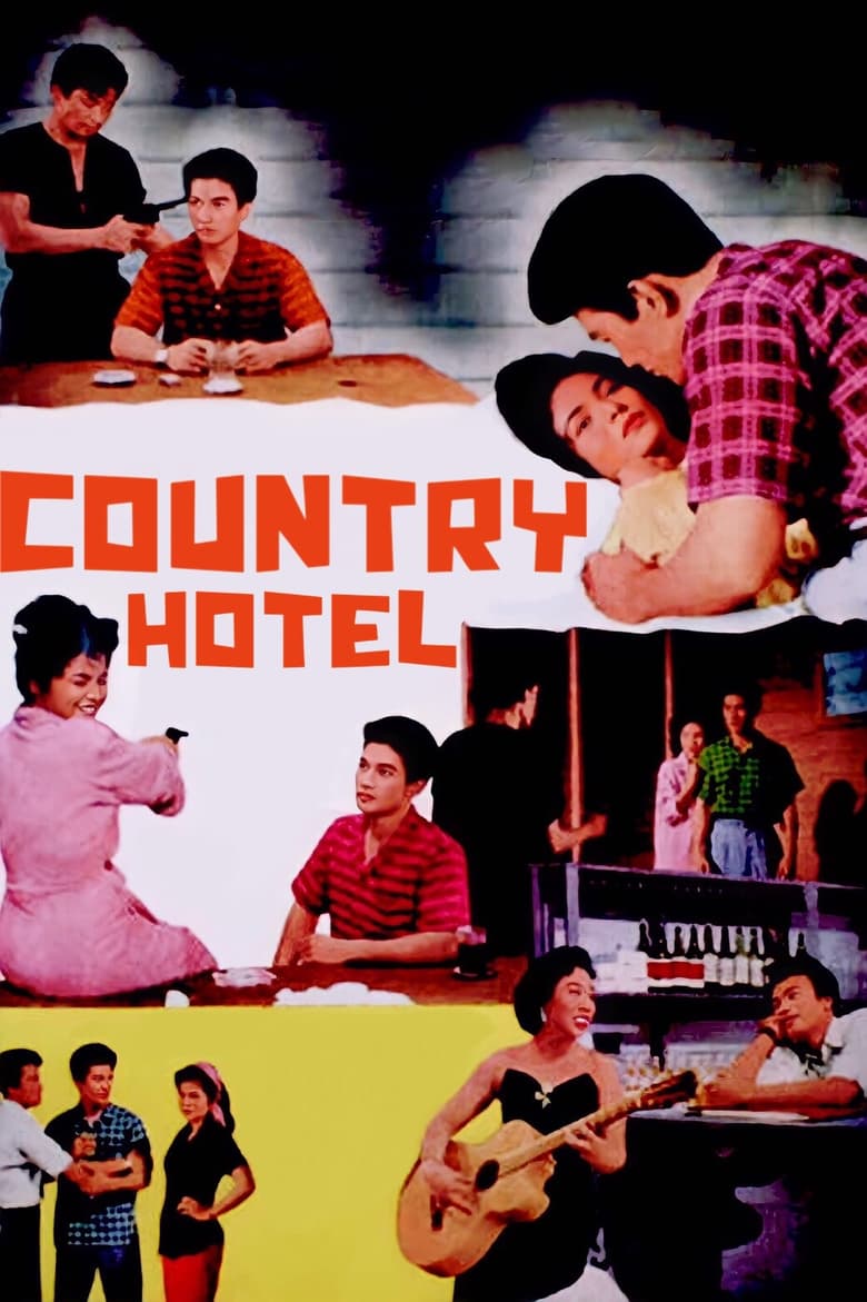 Poster of Country Hotel