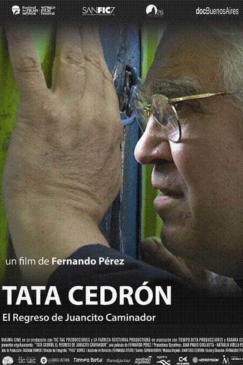 Poster of Tata Cedrón, el regreso de Juancito Caminador