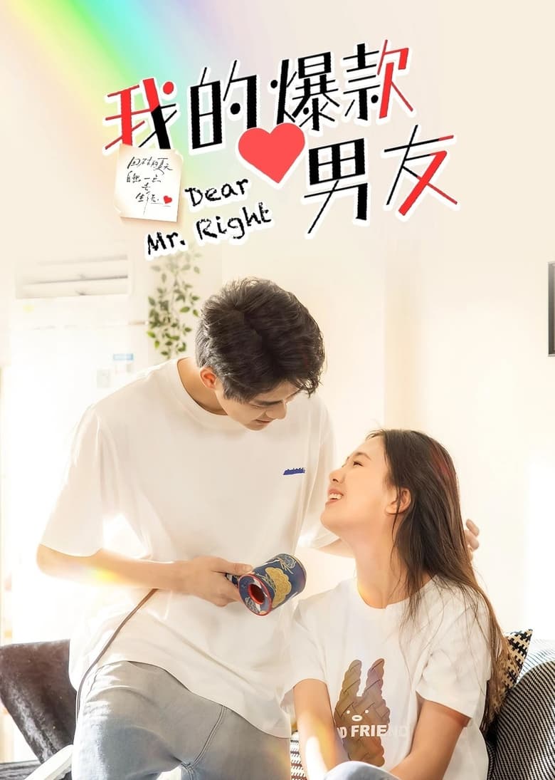 Poster of Dear Mr. Right