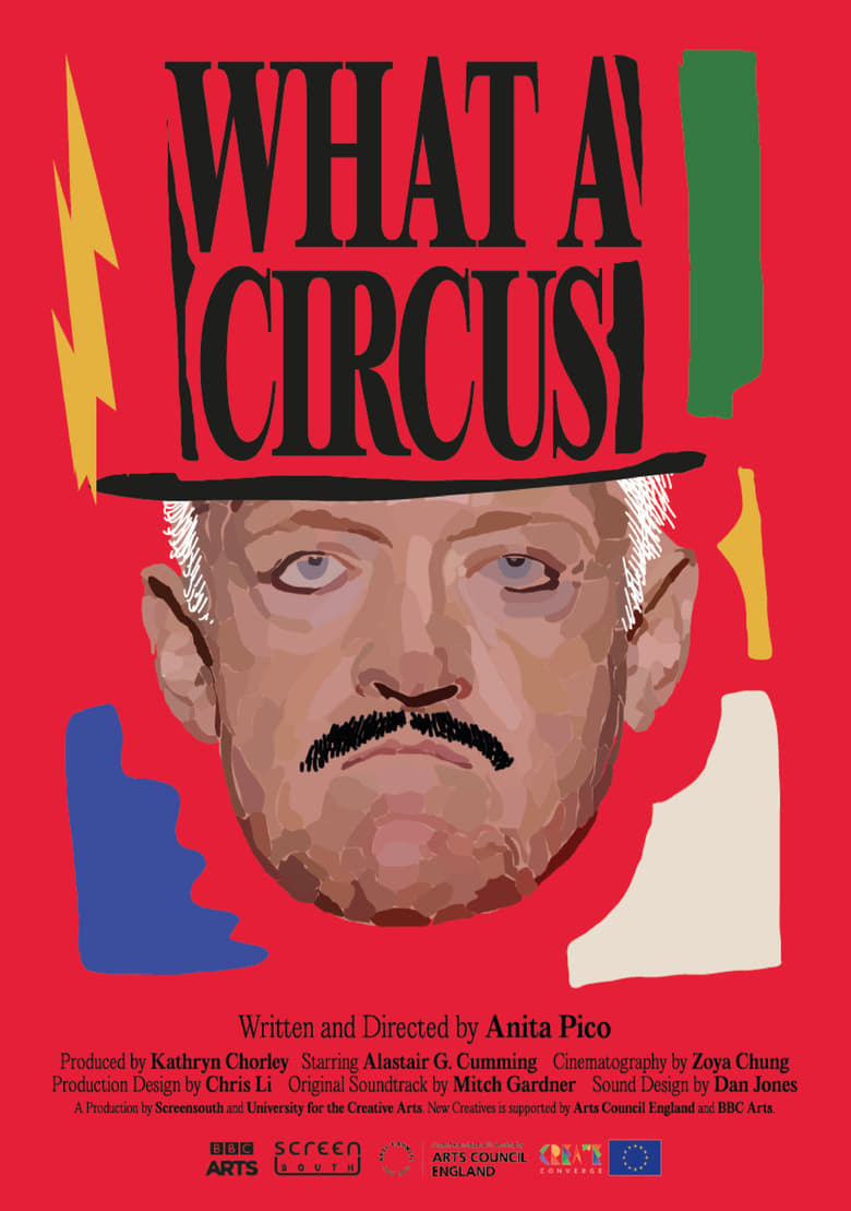 Poster of What a circus