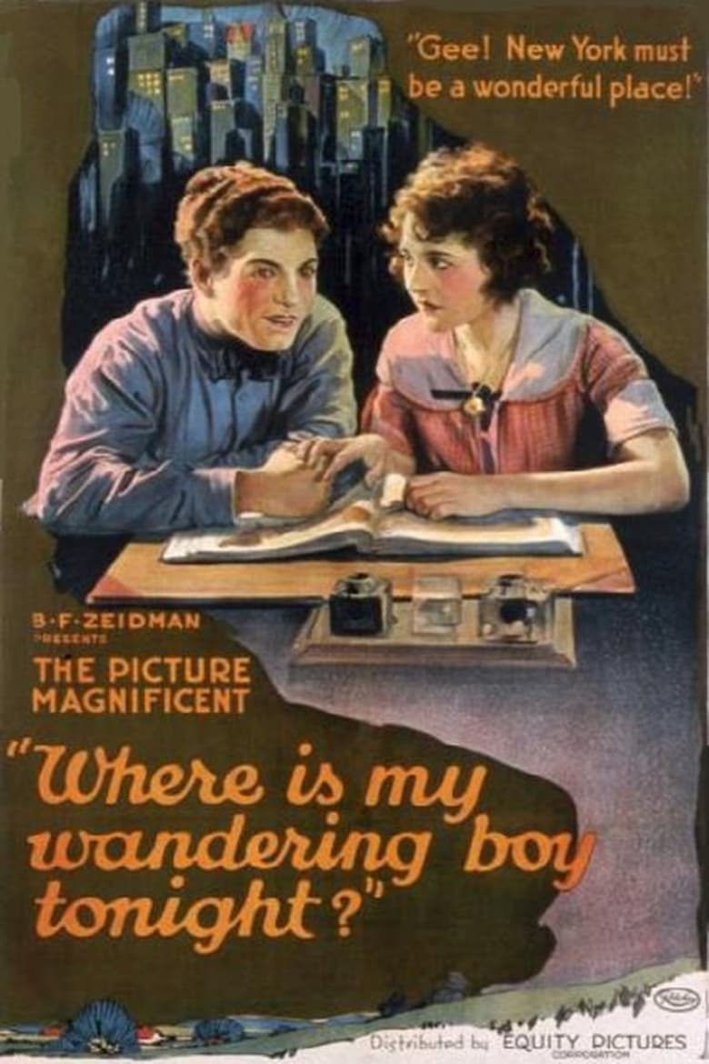 Poster of Where's my Wandering Boy Tonight?