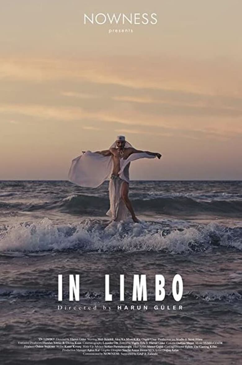 Poster of In Limbo