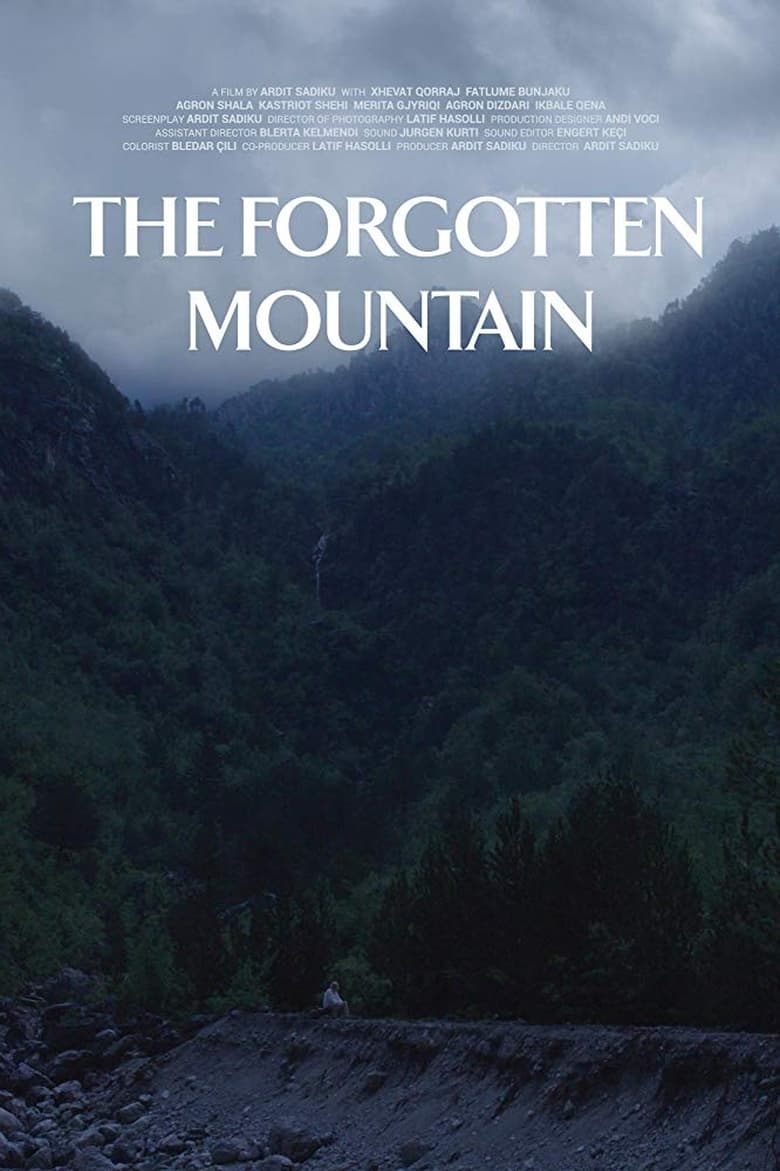 Poster of The Forgotten Mountain