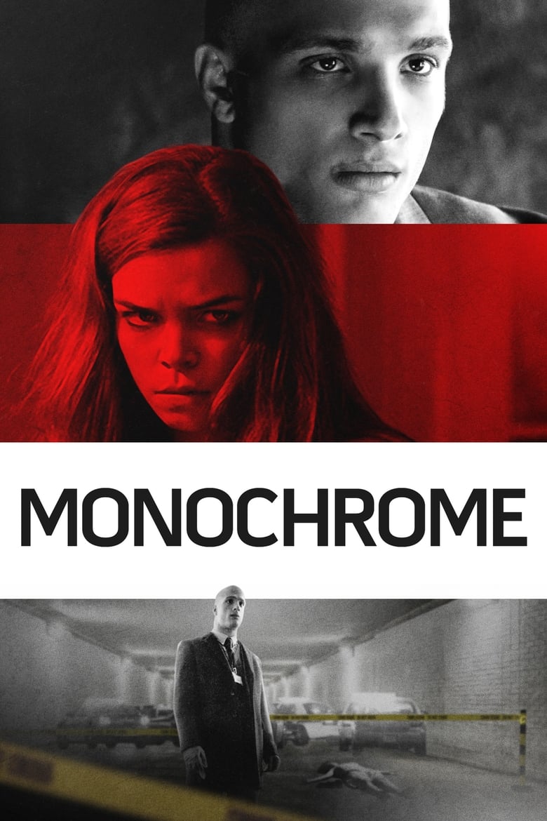 Poster of Monochrome