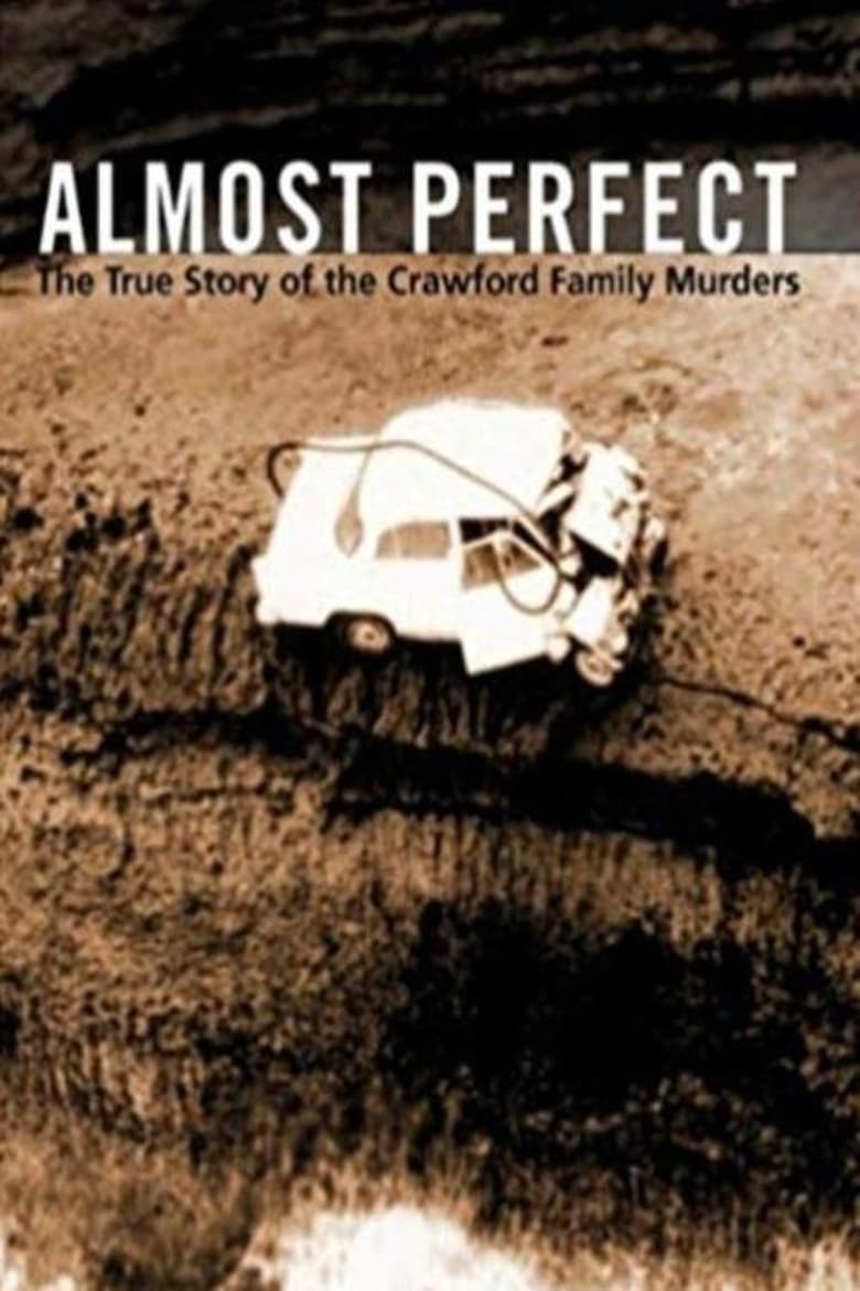 Poster of Almost Perfect