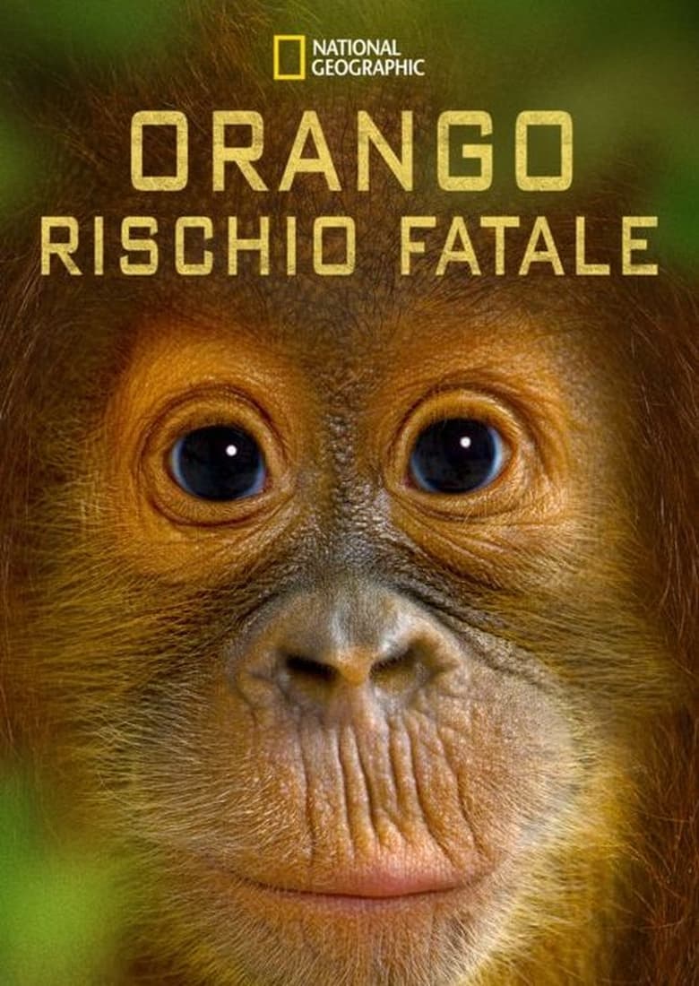 Poster of Orango rischio fatale