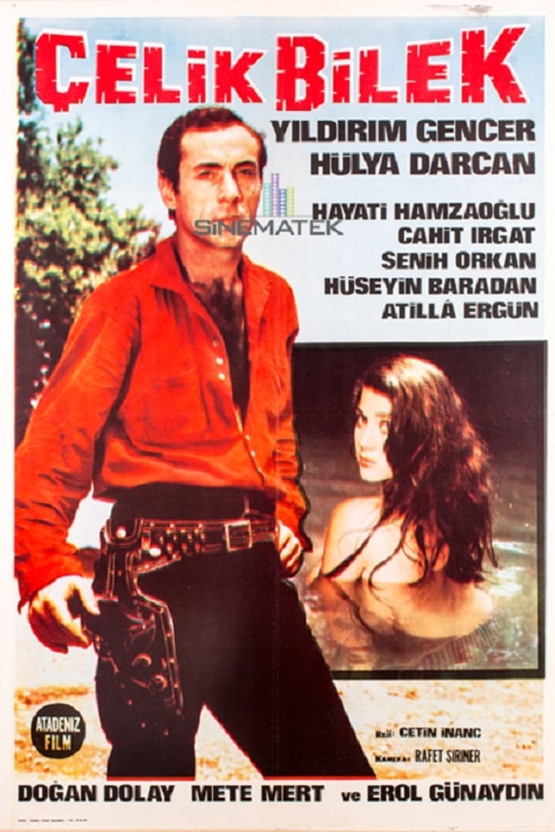 Poster of Çelik Bilek