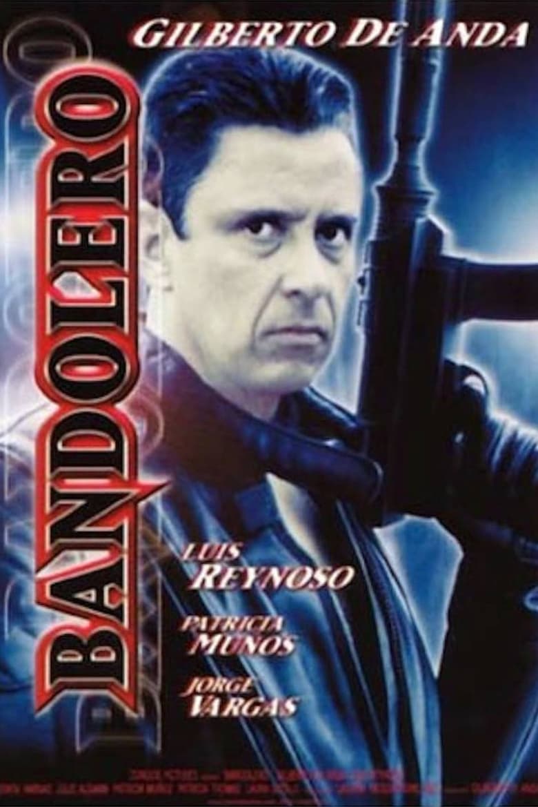 Poster of Bandolero