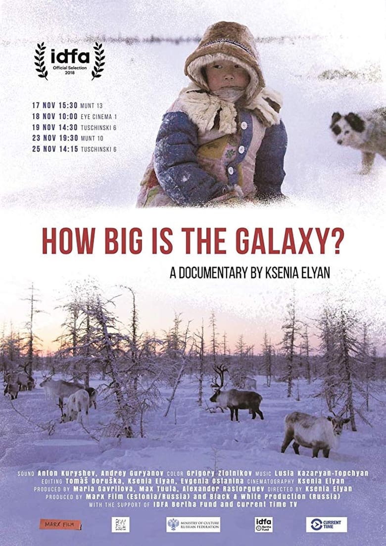 Poster of How Big Is the Galaxy?